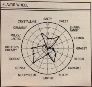 Sophia's Flavor Wheel 